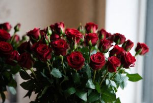 Red Roses
